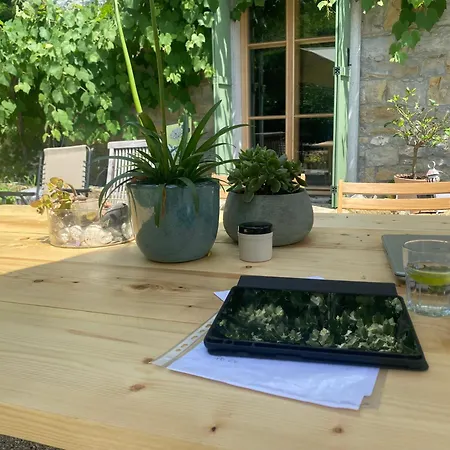 Casa Fiorita Múggia